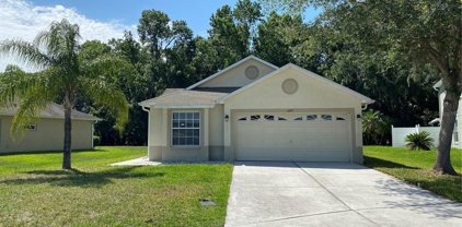 4607 Mcbrine Court, Land O' Lakes