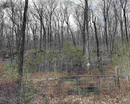 Rock Spring Road, Owens Cross Roads