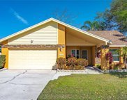 3036 Marlo Boulevard, Clearwater image