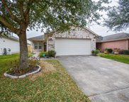12942 Belmont Legend Court, Houston image