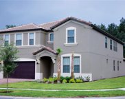 8924 Bengal Court, Kissimmee image