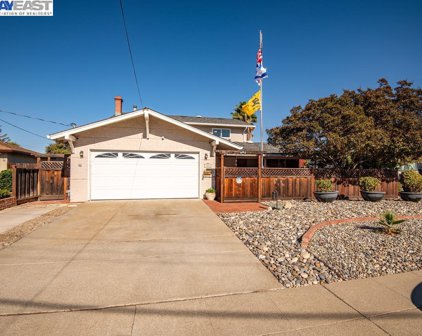 662 Sonoma Ave, Livermore