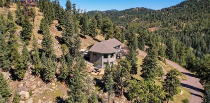 6925 Sprucedale Park Way, Evergreen