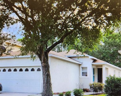 2453 Silvermoss Drive, Wesley Chapel