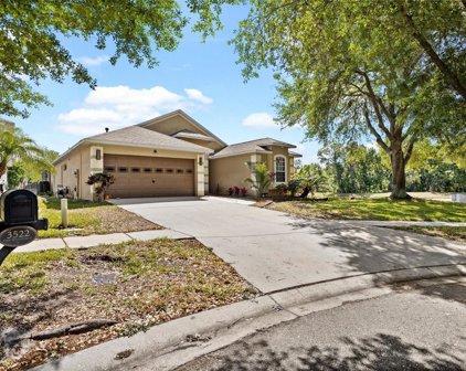 3522 Gray Whetstone Street, Brandon