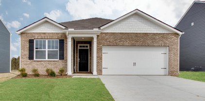 20 Lee Creek Lane, Byhalia