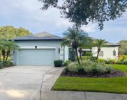5820 Heronrise Crescent Drive, Lithia image