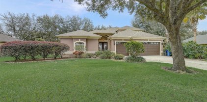 1304 Oxbridge Drive, Lutz