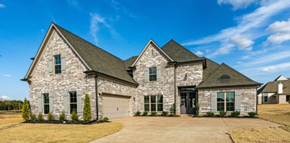 770 Arrow Cove, Olive Branch