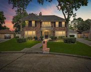 19814 Pioneer Court, Humble image