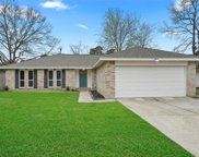 5330 Forest Timbers Drive, Humble image