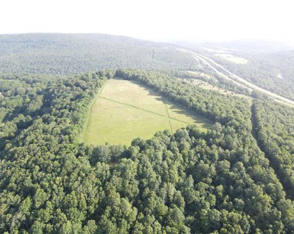 Bethlehem  Road, West Fork
