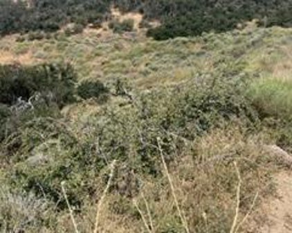 17601 Matterhorn  Drive, Tehachapi