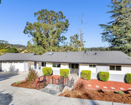 4481 Malcolm Ave, Oakland