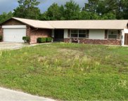8239 W Trotter Lane, Homosassa image