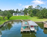 436 Palmetto Drive, Livingston image
