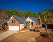 107 Kingston Forest Drive, Irmo image