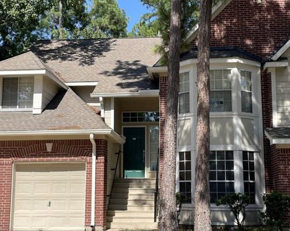 154 N Magnolia Pond Place, The Woodlands