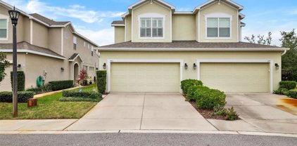 503 Harbor Springs Drive, Palm Harbor