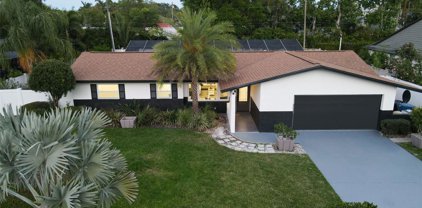 3197 Walnut Street Ne, St Petersburg