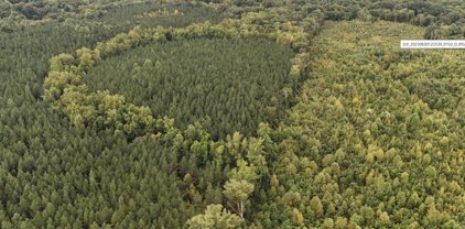 Red Fern Lane Assigned On Request, Spotsylvania