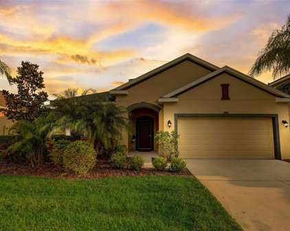 33132 Whisper Pointe Drive, Wesley Chapel
