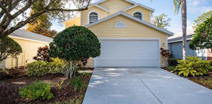 5127 Sterling Manor Drive, Tampa