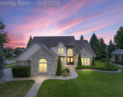 14164 Basilisco Chase, Shelby Twp