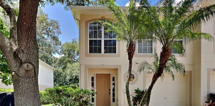 4712 Ashburn Square Drive, Tampa