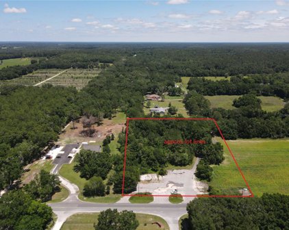 12810 Nw 39th Avenue, Gainesville