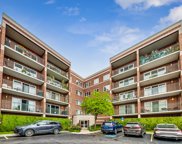 5360 N Lowell Avenue Unit #205, Chicago image