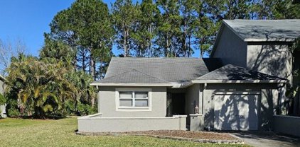 119 Hunter Court, Palm Harbor