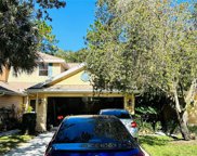 9023 Iron Oak Avenue, Tampa image