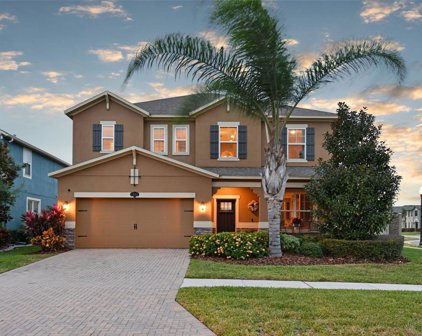 1895 Nature View Drive, Lutz