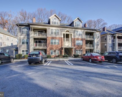 121 Timberbrook Ln Unit #204, Gaithersburg