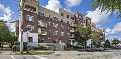 965 Rogers Street Unit #411, Downers Grove