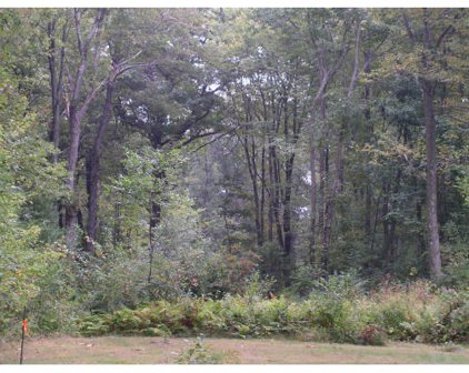 230 Ruggles St, Westborough