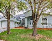 3808 Cold Creek Drive, Valrico image