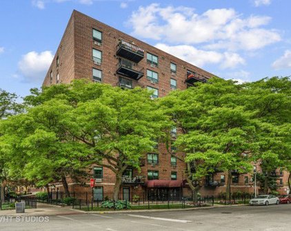 3900 N Pine Grove Avenue Unit #714, Chicago