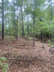 Mount Airy Road, Waverly Hall image