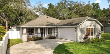 11717 Sycamore Place, Temple Terrace