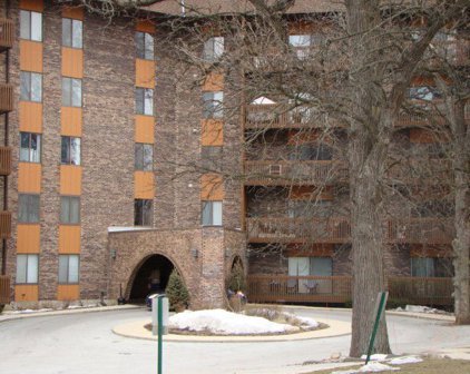120 N Lakeview Drive Unit #517, Bloomingdale
