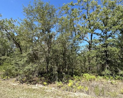 Courlan Road, Brooksville