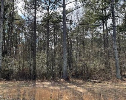 00 Turkey Creek Road, Newnan
