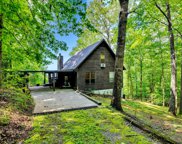126  County Rd 4232, Crane Hill image