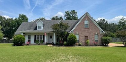 9857 Dorothy Drive, Olive Branch