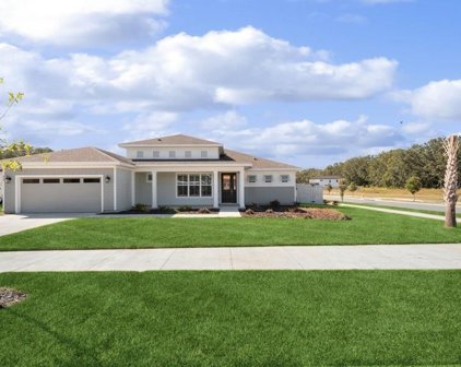 428 Sw 144 Drive, Newberry