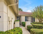 18301 Aintree Court, Tampa image