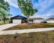 2295 Colonial Drive, Dunedin image