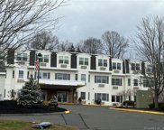 1 Brush Pasture Lane Unit 214, Portland image